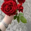 dy614jb6lntz
