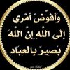 nadirelhamza0