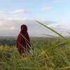 nofiana91