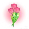 ˚˖𓍢🌷✧Nasabil˚.🎀⋆