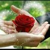usel125356368