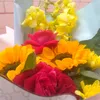 .xuancuong4