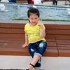 phg_linq