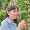 l.th.limlim
