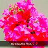 zubair____75