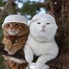 milana_546788