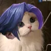 manh_922