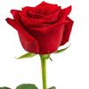 love222347