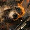 rocketracoon1264