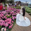 nky_ni