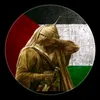 samer.poamar