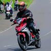 ownernya bulbul