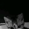 mmali_tm