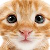 helloootinaaa