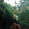 hoang10321