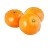 mandarin31013