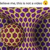 mr_ab_804
