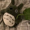 minigirasoles994