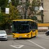 laz_bg67