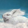 tribalbunny1