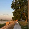 دجــلـه 🦅