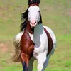 daniel12.com7