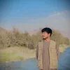 Hasib