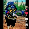 guillermoescuder12g