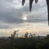 rlismane