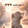 karim_s2001