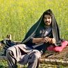 sherazkhan_122