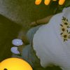 esmeralda.vegamedina