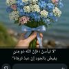 shaza1831