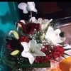 nawalel1165