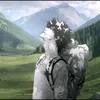 4i_t8