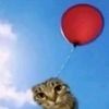n1gg4sh1tcornball