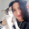 mis5gatos