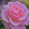 user58717061663681