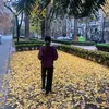 oli_2277