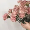 siskafra2