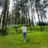 beruang_madu941