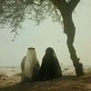 abu_musaaa1