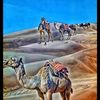 zameenbaloch25
