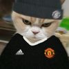 cappu_cino1