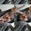iwirjrjwwi