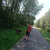 marcinkwasniak66