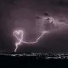 belly_arauj8