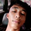 stifen7881