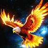 ali.omair92