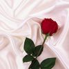 roses1291